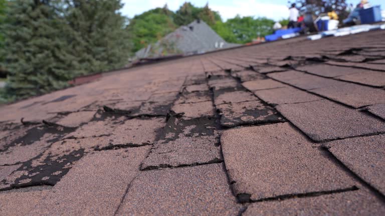 Trusted Burton, MI Roofing Experts