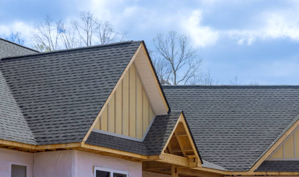 Best Skylight Installation and Repair  in Burton, MI