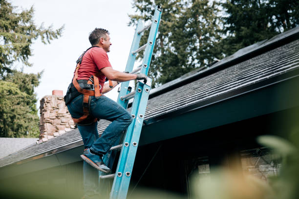 Best Asphalt Shingles Roofing  in Burton, MI