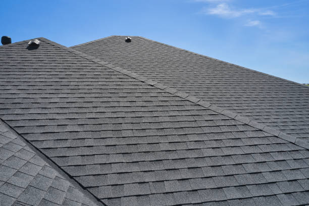 Best Roof Leak Repair  in Burton, MI